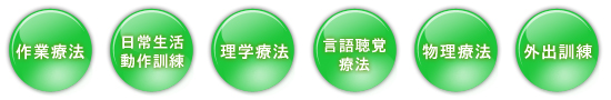 作業療法、日常生活動作訓練、理学療法、言語聴覚療法、物理療法、外出訓練