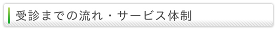 受診までの流れ・サービス体制